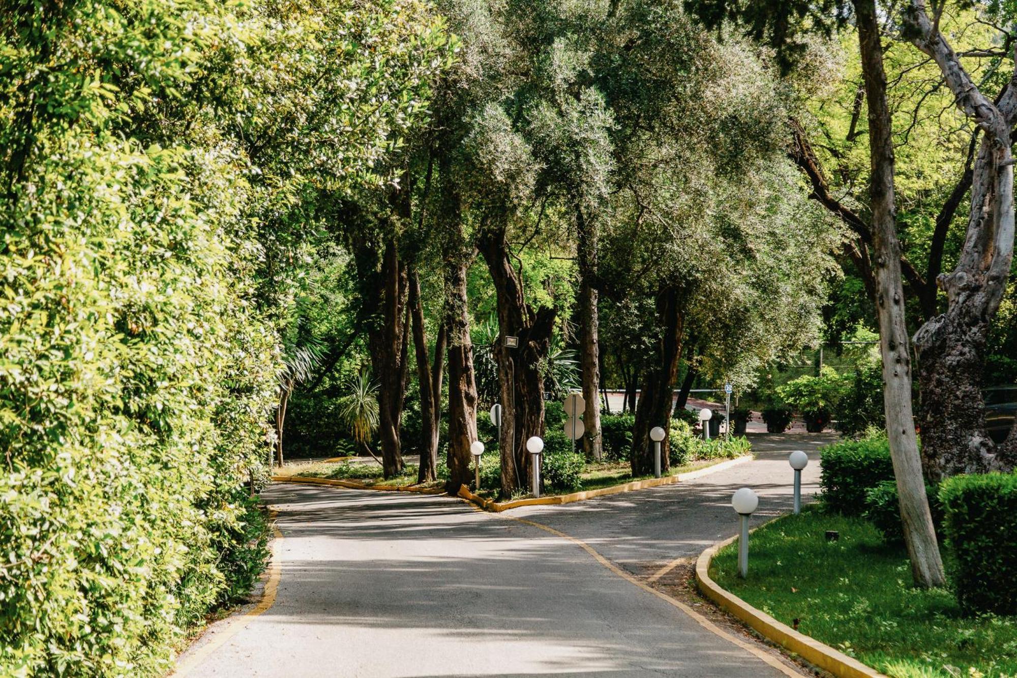 Corfu Holiday Palace Perama  Luaran gambar A street in the neighborhood